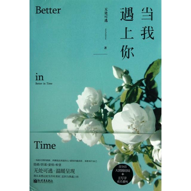 正版新书 当我遇上你 无处可逃 新世界出版社图片