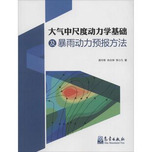 气象出版 正版 高守亭 大气中尺度动力学基础及雨力预报方法 社 新书