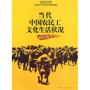 文化市场司 当代中国农民工文化生活状况调查报告 华中师范大学 全国农民工文化生活状况调查课题组 社 正版 中国社会科学出版 新书