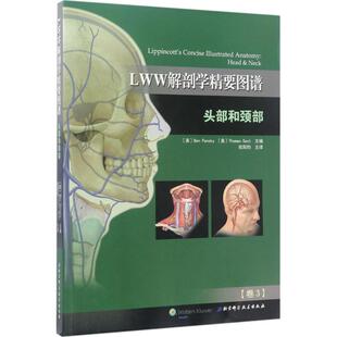 北京科学技术出版 正版 本·潘斯基 LWW解剖学精要图谱：头部和颈部 社 新书