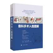 Joachim Vaccaro 德 美 Fridun Kuno 新书 骨科手术入路图解 正版 Carl Alexander Wirth Kerschbaumer Weise