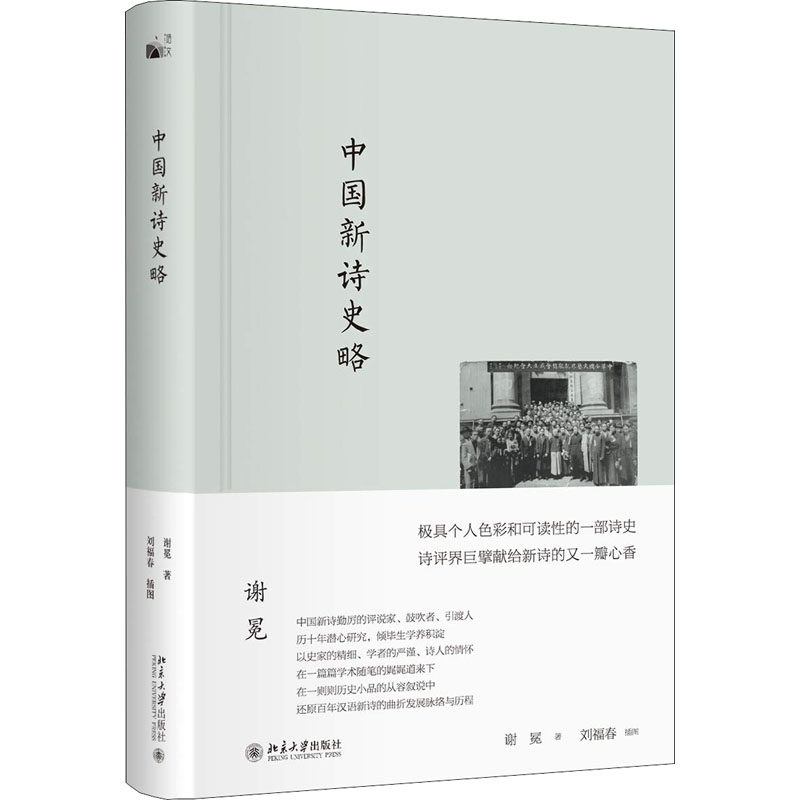 正版新书 中国新诗史略 谢冕 著 刘福春 绘 北京大学出版社 - 实物图