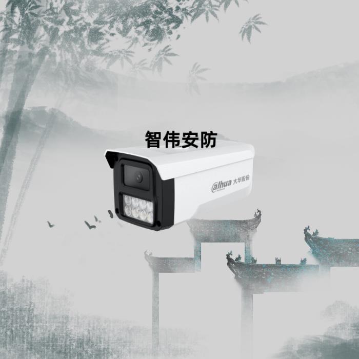 大华400万像素双光全彩网络高清摄像机 DH-IPC-HFW1433B-A-IL4