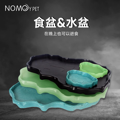 爬宠食盆蜥蜴水盆寄居蟹角蛙泡澡