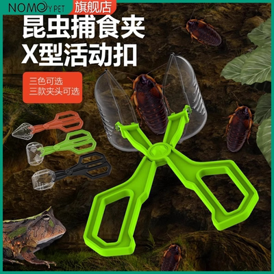 爬虫昆虫杜比亚蟑螂蟋蟀捕捉镊子爬宠蜥蜴守宫蜘蛛喂食夹子清粪便