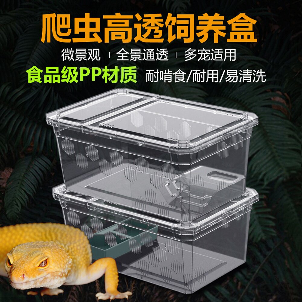 NOMO爬虫爬宠蜘蛛饲养盒甲虫蜗牛昆虫蝎子角蛙饲养箱爬宠饲养盒
