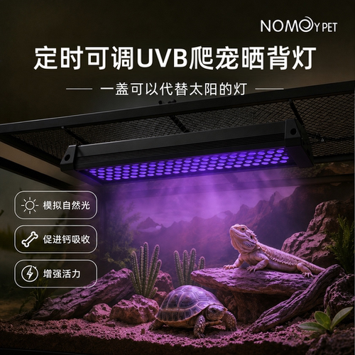 乌龟蜥蜴守宫陆龟长条补光爬宠灯