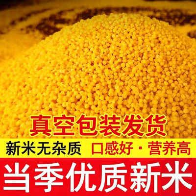 山西黄小米新米农家糯小米月子五谷杂粮小黄米减脂代餐主食减脂期抗饿主食减脂期低卡食物 杂粮米五谷杂粮糖尿病糖尿病控糖主食