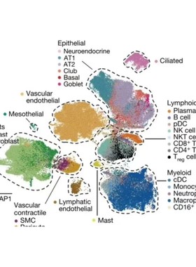 GEO,TCGA数据库挖掘，差异基因分析，火山图热图，网络药理学