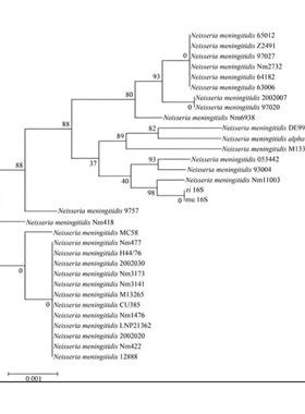 微生物组16s扩增子宏基因组生信分析qiime2物种丰度多样性lefse