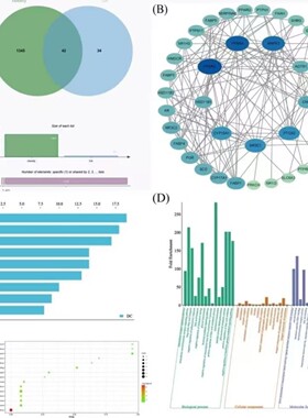 生信分析 SCI写作指导 标书撰写指导 GEO TCGA 多组学联合分析等