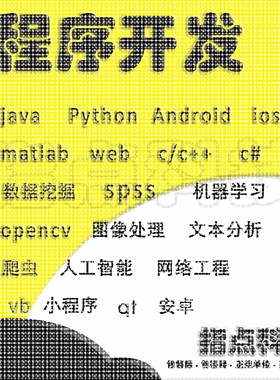 计算机python程序代做java系统设计c/c++代码编写qt开发php接单R