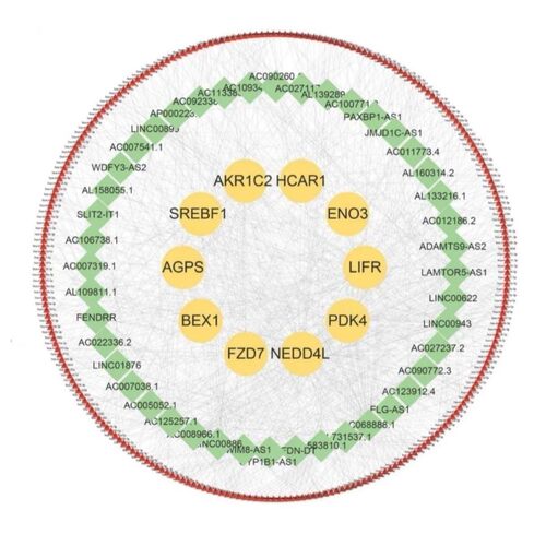 代谢组学非靶向检测联合蛋白组学生信通路富集