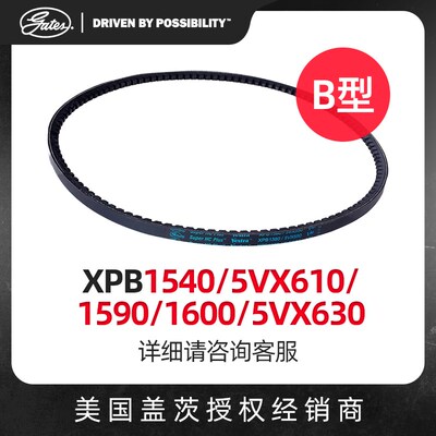 盖茨GATES 三角带B型带齿带XPB1540/5VX610/1590/5VX630/1600皮带
