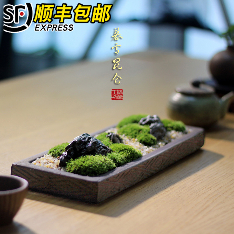 苔藓白发藓枯山水微景观日式禅意盆景紫砂盆栽茶桌办公桌面绿植