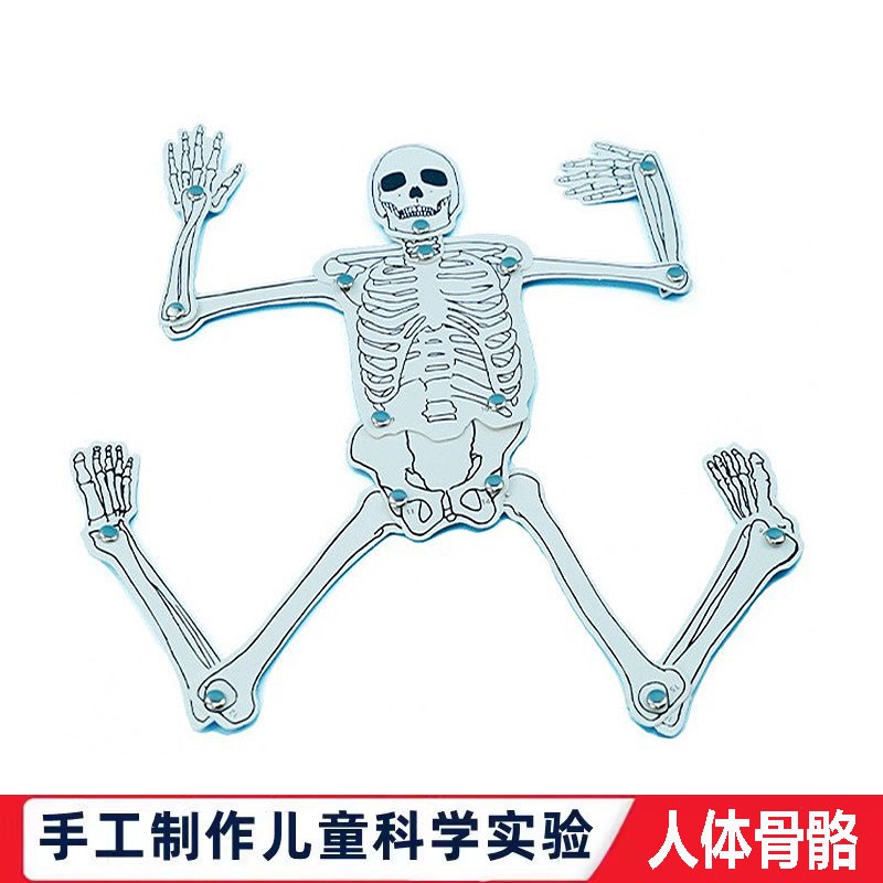 科学实验小学生科技小制作DIY自制人体骨骼模型儿童益智教育玩具