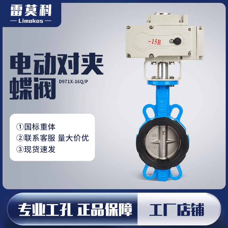 D671-16 电动乙丙四氟蝶阀对夹式304板DN5065100软密封球墨挂胶体