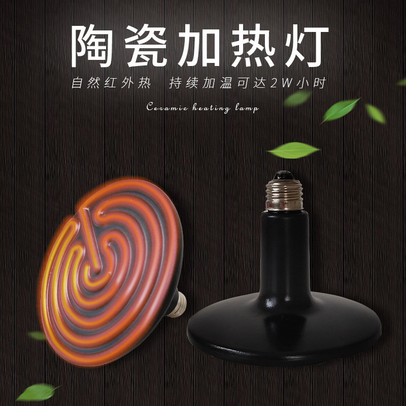 陶瓷加热灯 陆龟蜥蜴蜘蛛爬宠箱保温灯宠物蛇刺猬 爬虫乌龟加温灯,3C数码配件,USB多功能数码宝,淘宝优惠券,粉丝福利购,淘宝优惠卷