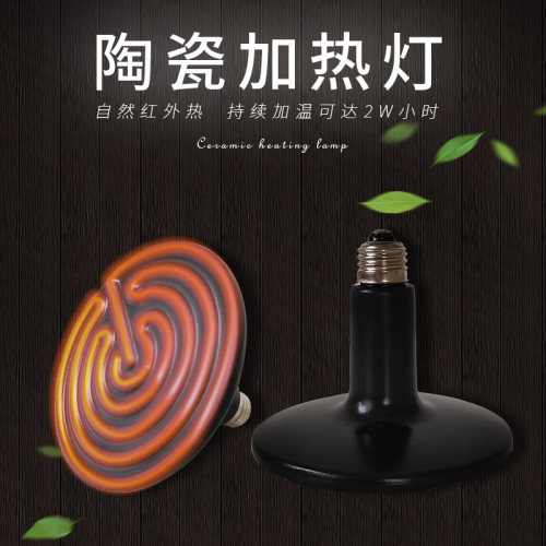 陶瓷加热灯 陆龟蜥蜴蜘蛛爬宠箱保温灯宠物蛇刺猬 爬虫乌龟加温灯