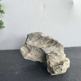 热卖鱼缸造景石头青龙石一物一拍溪流石盆景微景观英德石抱树石