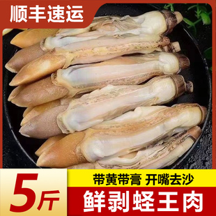 熟冻去壳速冻蛏王肉大个冷冻蛏子肉海鲜水产鲜活圣王肉竹蛏肉贝类
