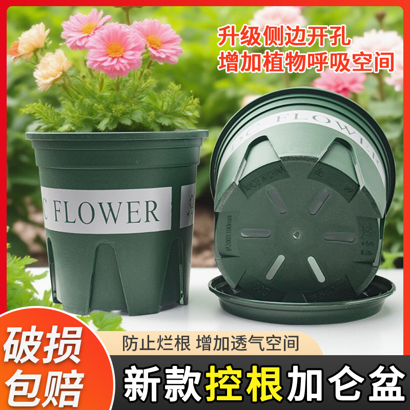 加仑盆二代厚带托盘国产矮