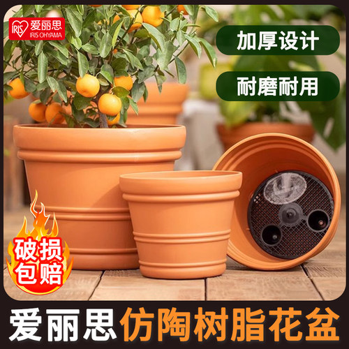 爱丽丝思大号树脂仿陶瓷多