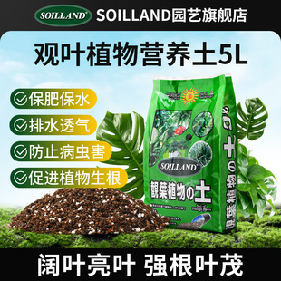 大柿园艺soilland观叶植物营养家用绿萝发财树龟背竹虎皮兰观叶土