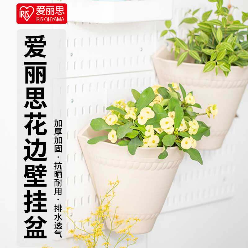 爱丽丝壁挂花盆思树脂悬墙