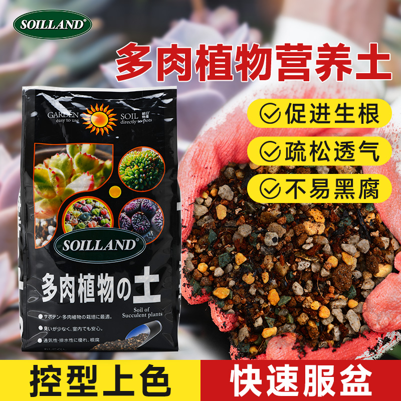 大柿园艺soiland多肉营养