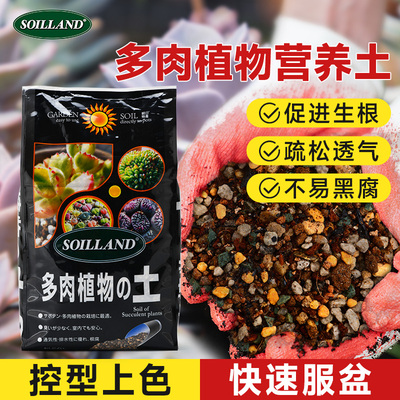 大柿园艺soiland多肉营养
