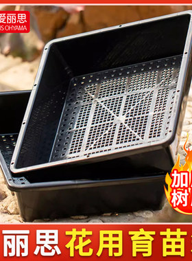 爱丽思育苗盘多肉种植盒大