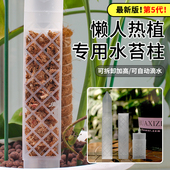 水苔柱龟背竹可拼接造型热植攀附柱绿萝爬藤植物攀爬柱固定棒支架