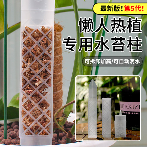 水苔柱龟背竹可拼接造型热