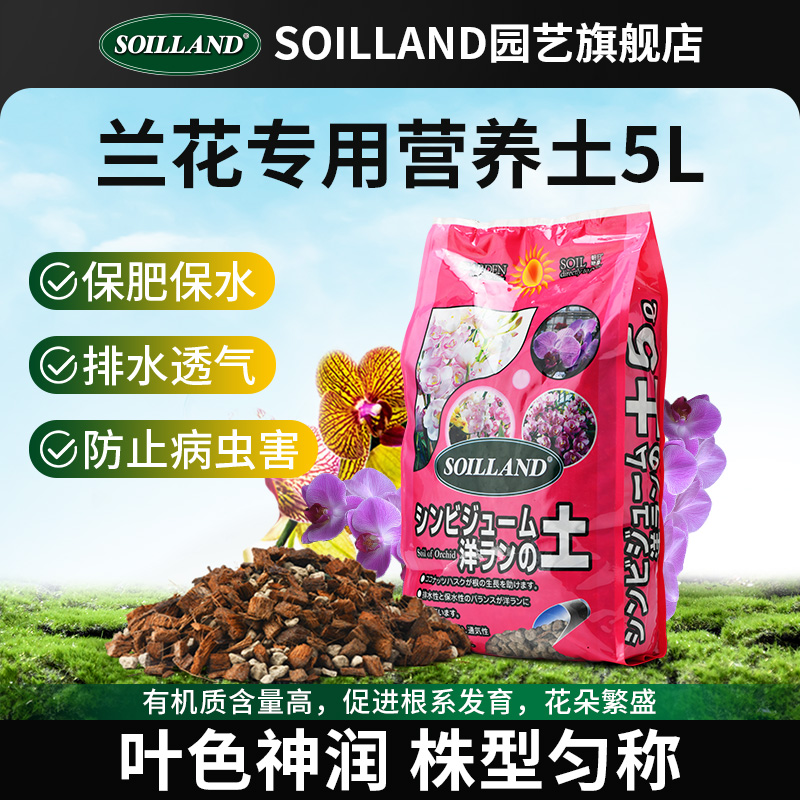 大柿园艺soiland蝴蝶兰石
