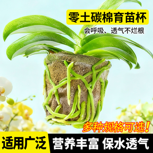 懒人半水培换盆碳棉种植杯蝴蝶兰专用营养土兰科植物合成棉碳棉杯