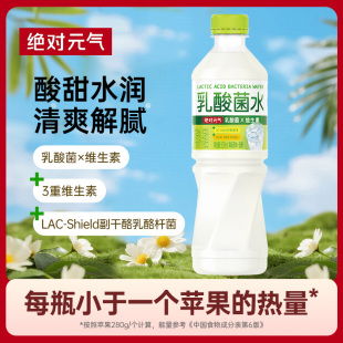 [7月25日到期]元气森林乳酸菌饮料500ml*2