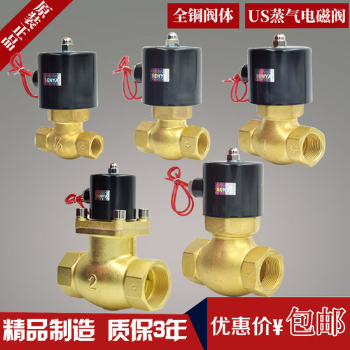 SENYAUS-25全铜线圈高温蒸汽电磁阀2L/US-15 热水阀202532 4分6分