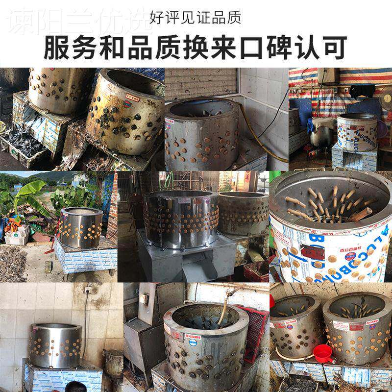 高特丰家禽脱毛机鸡鸭用鹅拔毛SOK大机型商全自动锈钢不杀狗羊打