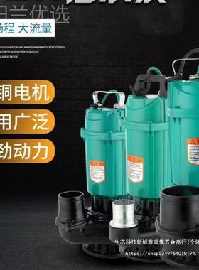 农用2四大20V2寸3寸4寸寸潜水泵抽水机流DBQ量扬程泵鱼高塘灌溉家