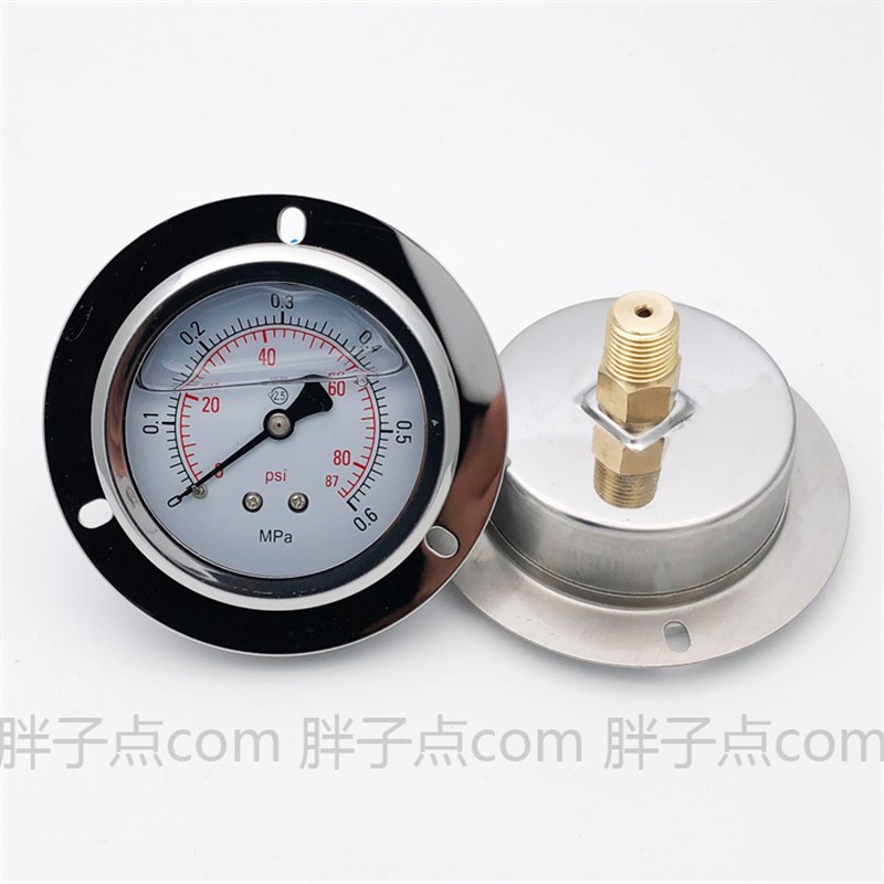 DT-63耐震压力表0-0.6MPa抗震压力表87psi螺纹ZG1/4轴向加边60ZT