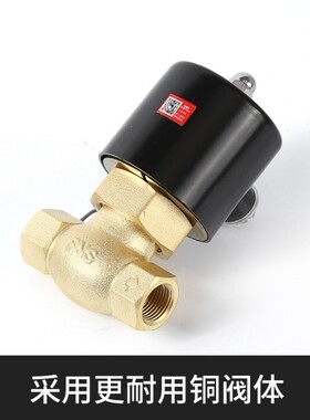 正品SNS神驰 高温电磁阀/蒸汽阀 2L200-20 6分/2L250-25 1寸
