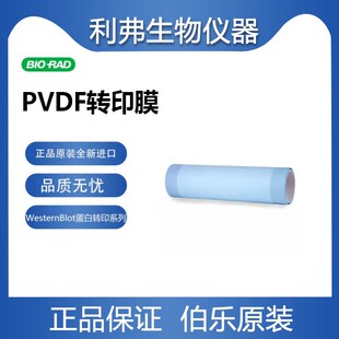 伯乐印迹膜Immun-Blot PVDF材质Membrane0.2um孔径转印膜1620177