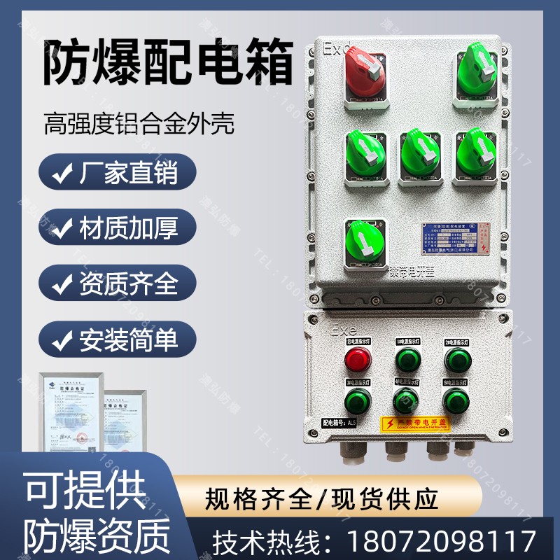防爆照明配电箱电源开关箱动力控制箱应急集中电源箱电伴热接线箱