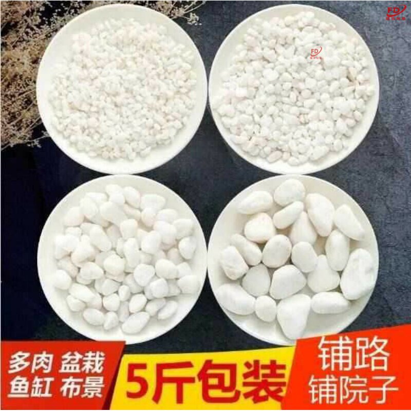 院子碎石铺装饰装修阳台花瓶栽多肉植物花盆放白色里的小石头石子