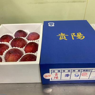 山梨贵阳李长野李子貴陽李8-9颗礼盒版日 本似 品种国产送礼水果