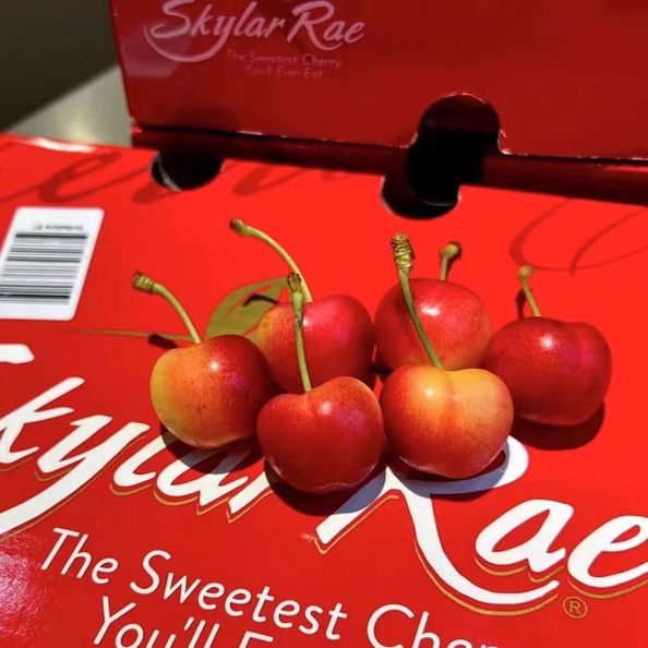 斯凯拉雷Skylar Rae金车厘子新鲜脆甜爽口孕妇水果深圳同城
