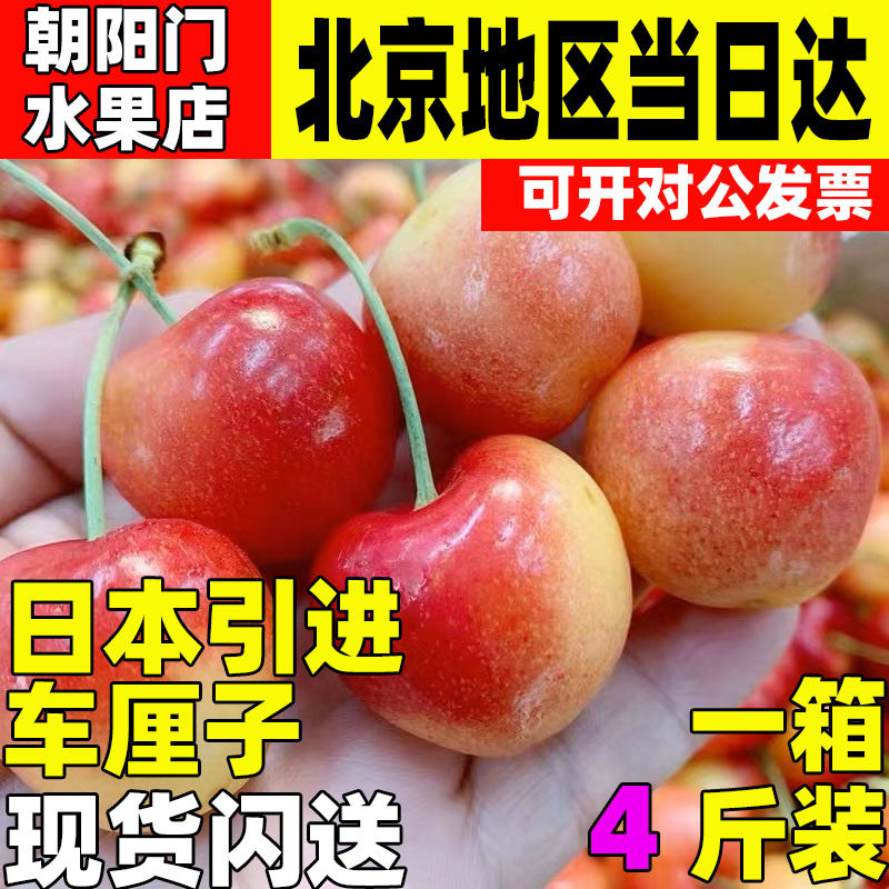 日本引进黄车厘子3J4J5J特大果雷尼尔黄樱桃礼盒新鲜水果顺丰