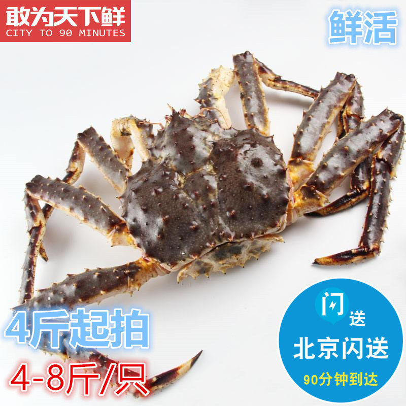 回购率高! 北京闪送 俄罗斯进口鲜活帝王蟹 高端海鲜水产 大螃蟹
