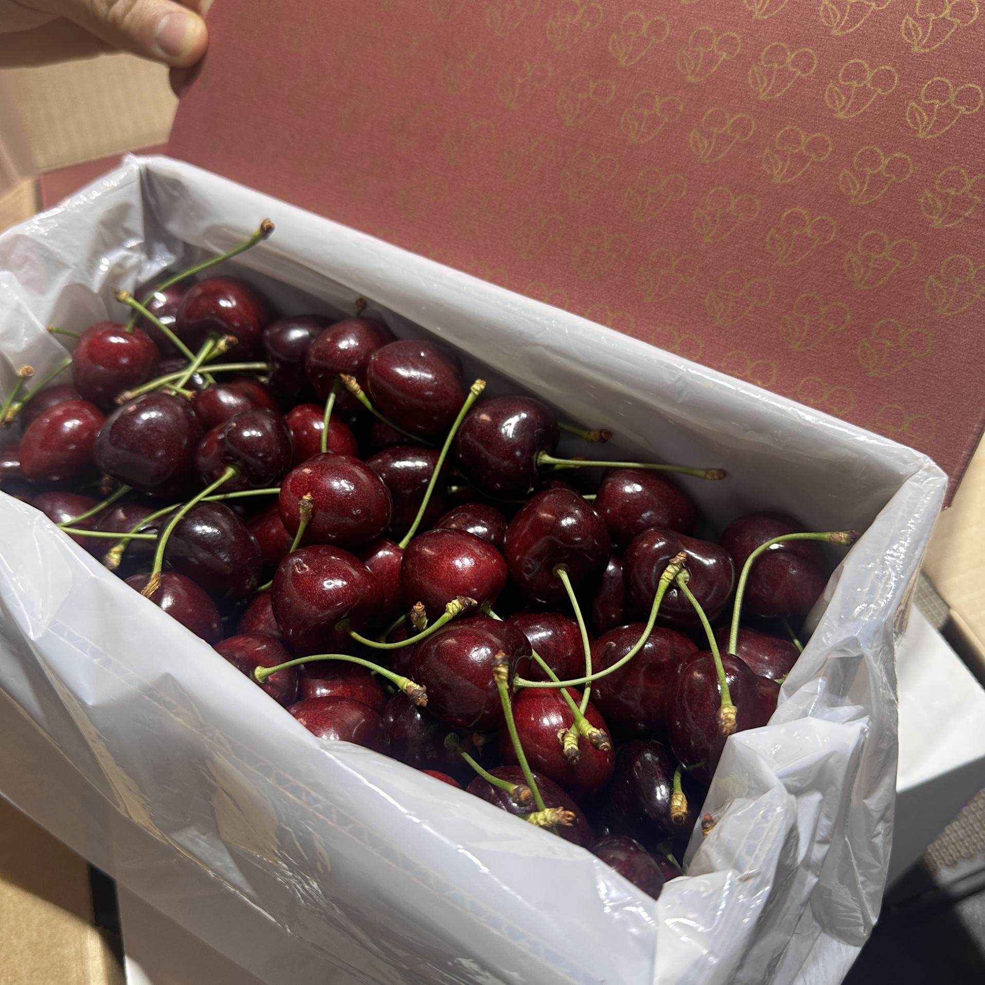 新西兰车厘子空运Kordia科迪亚黑车新鲜脆甜水果原箱礼盒樱桃,水产肉类/新鲜蔬果/熟食,车厘子/樱桃,淘宝优惠券,粉丝福利购,淘宝优惠卷